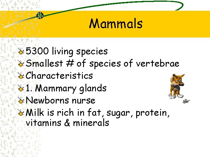 Mammals 5300 living species Smallest # of species of vertebrae Characteristics 1. Mammary glands Mammals 5300 living species Smallest # of species of vertebrae Characteristics 1. Mammary glands