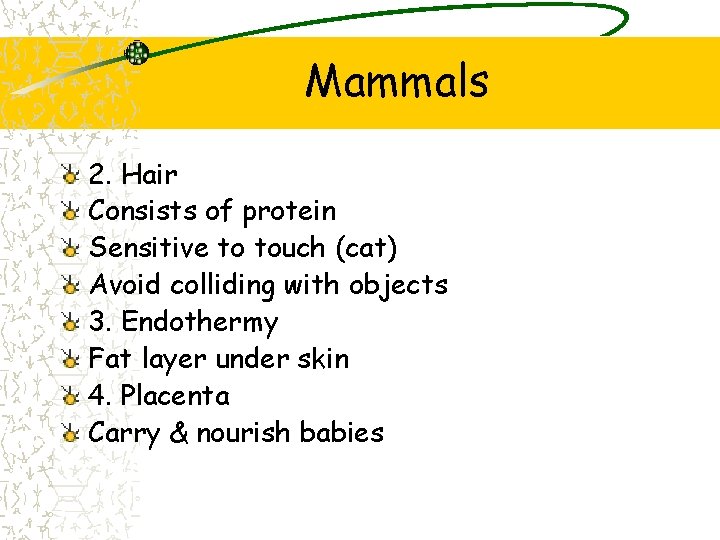 Mammals 2. Hair Consists of protein Sensitive to touch (cat) Avoid colliding with objects Mammals 2. Hair Consists of protein Sensitive to touch (cat) Avoid colliding with objects