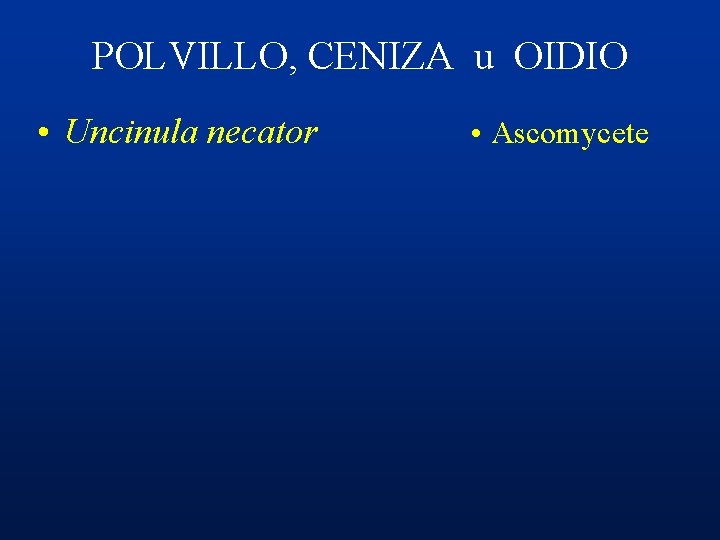 POLVILLO, CENIZA u OIDIO • Uncinula necator • Ascomycete 