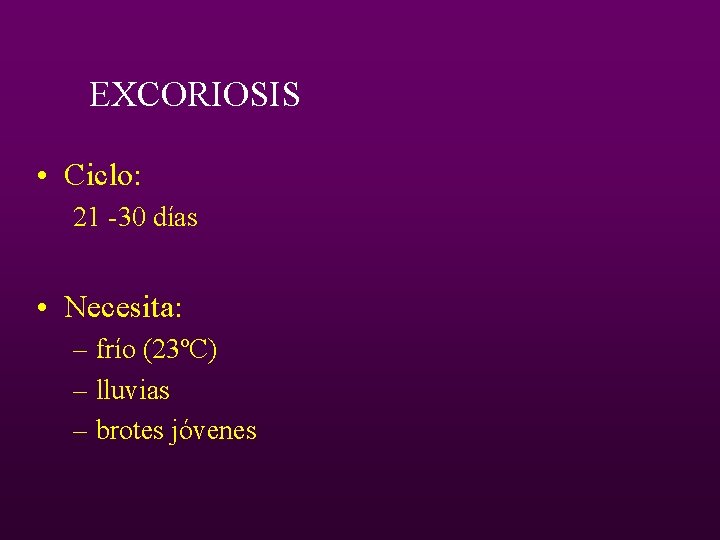 EXCORIOSIS • Ciclo: 21 -30 días • Necesita: – frío (23ºC) – lluvias –