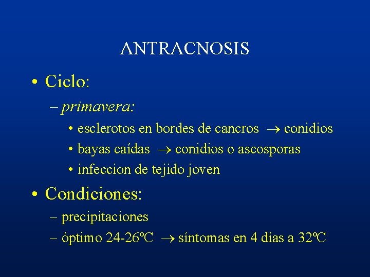 ANTRACNOSIS • Ciclo: – primavera: • esclerotos en bordes de cancros conidios • bayas