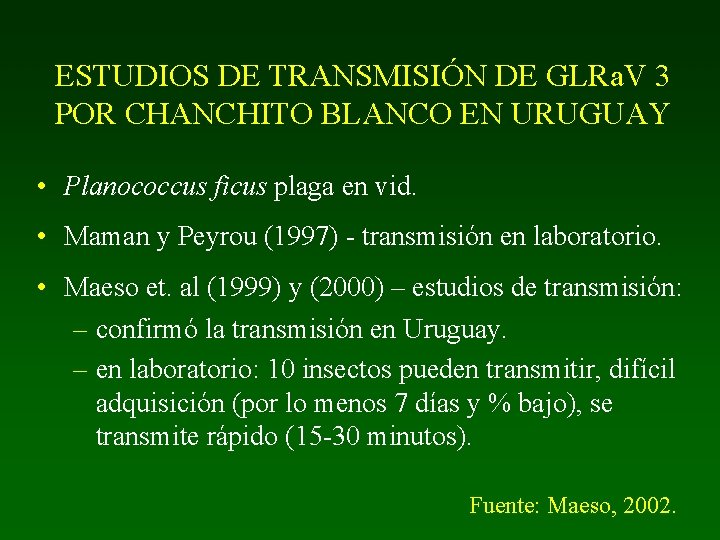 ESTUDIOS DE TRANSMISIÓN DE GLRa. V 3 POR CHANCHITO BLANCO EN URUGUAY • Planococcus