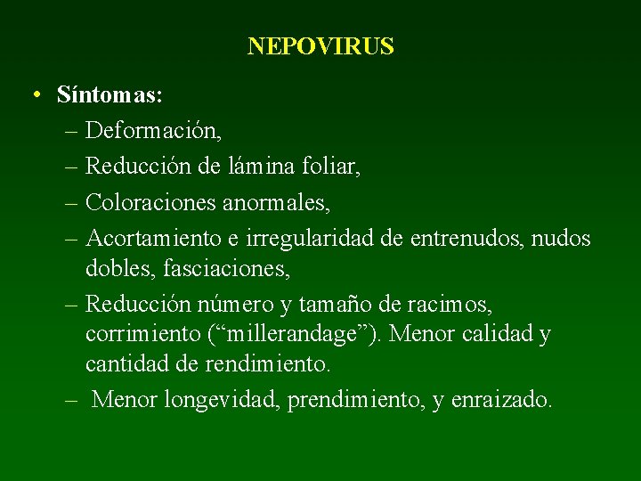 NEPOVIRUS • Síntomas: – Deformación, – Reducción de lámina foliar, – Coloraciones anormales, –