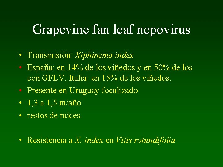 Grapevine fan leaf nepovirus • Transmisión: Xiphinema index • España: en 14% de los