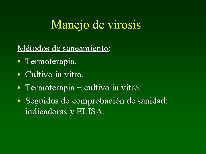 Manejo de virosis Métodos de saneamiento: • Termoterapia. • Cultivo in vitro. • Termoterapia