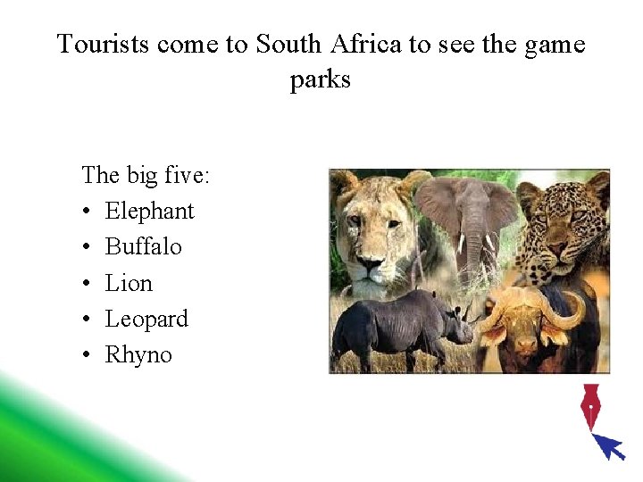 Tourists come to South Africa to see the game parks The big five: • Tourists come to South Africa to see the game parks The big five: •