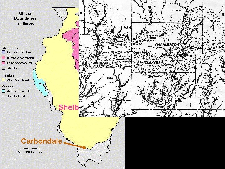 Shelbyville Carbondale 