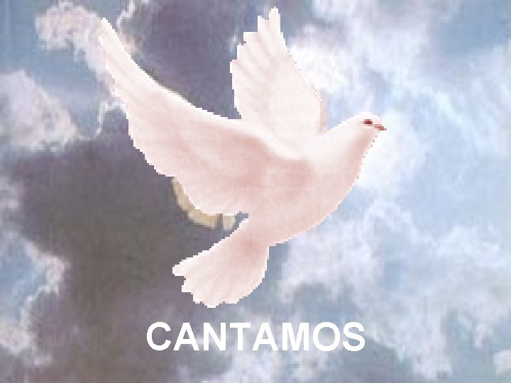 CANTAMOS 