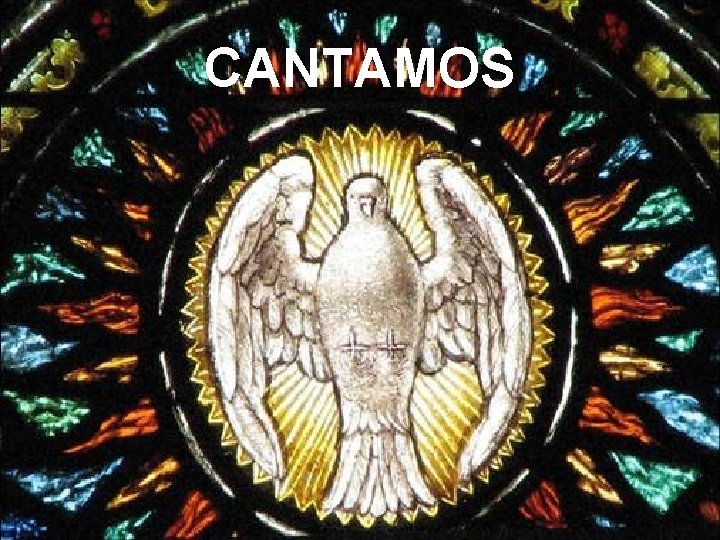 CANTAMOS 