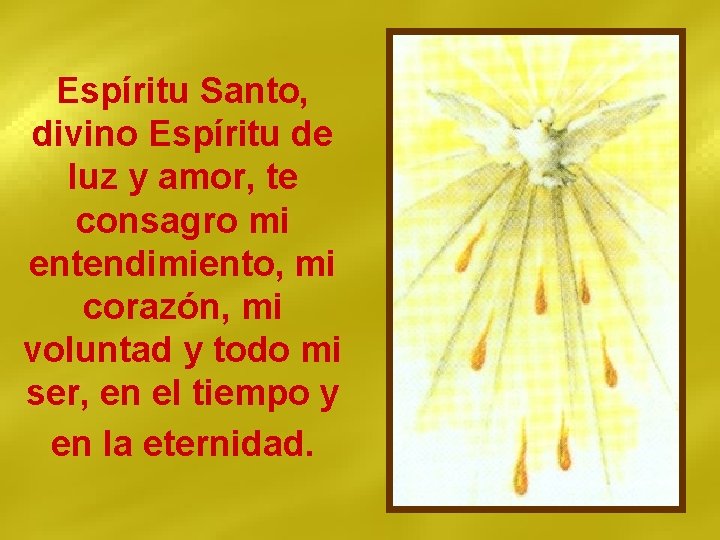 Espíritu Santo, divino Espíritu de luz y amor, te consagro mi entendimiento, mi corazón,