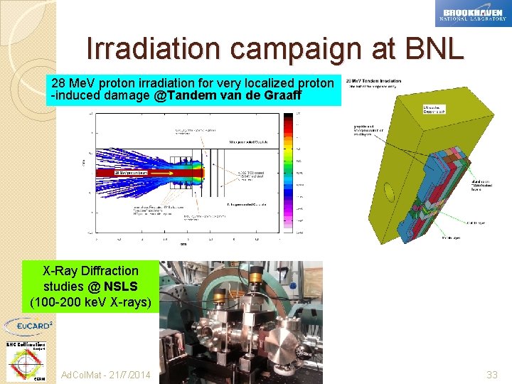 Irradiation campaign at BNL 28 Me. V proton irradiation for very localized proton -induced