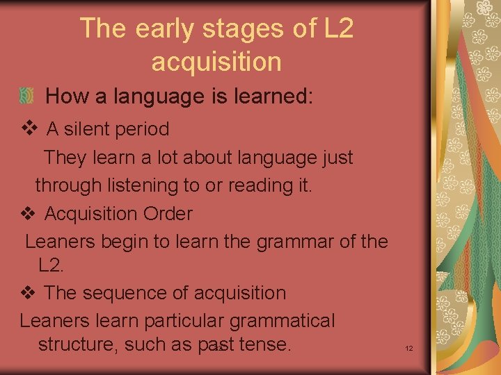 The early stages of L 2 acquisition How a language is learned: v A