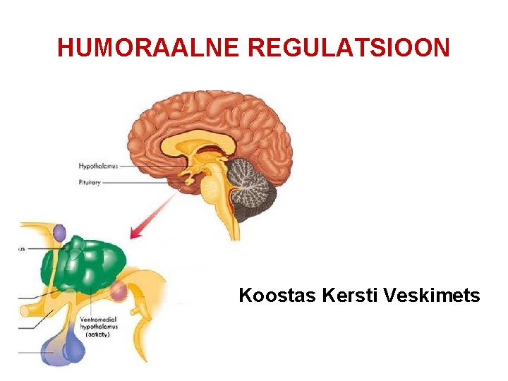 HUMORAALNE REGULATSIOON Koostas Kersti Veskimets 