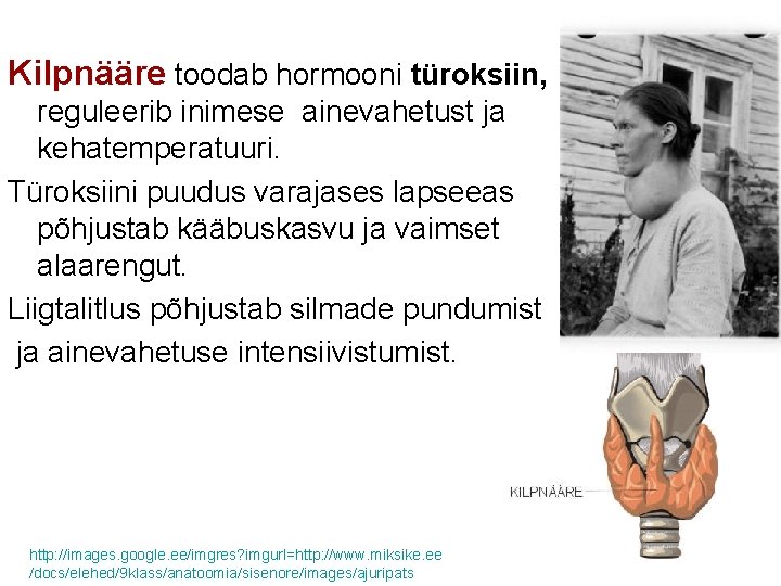 Kilpnääre toodab hormooni türoksiin, reguleerib inimese ainevahetust ja kehatemperatuuri. Türoksiini puudus varajases lapseeas põhjustab
