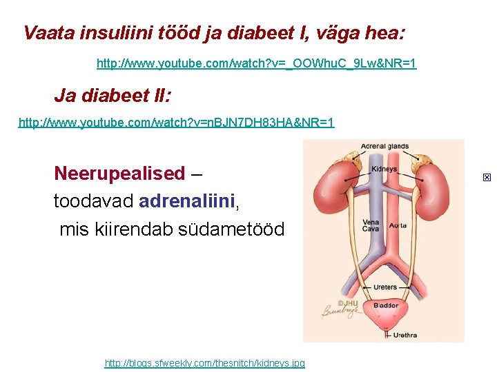 Vaata insuliini tööd ja diabeet I, väga hea: http: //www. youtube. com/watch? v=_OOWhu. C_9