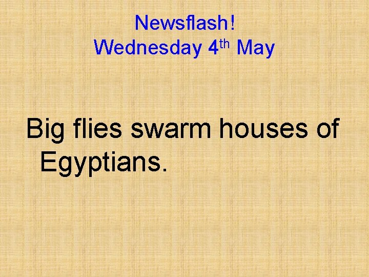 Newsflash! Wednesday 4 th May Big flies swarm houses of Egyptians. 