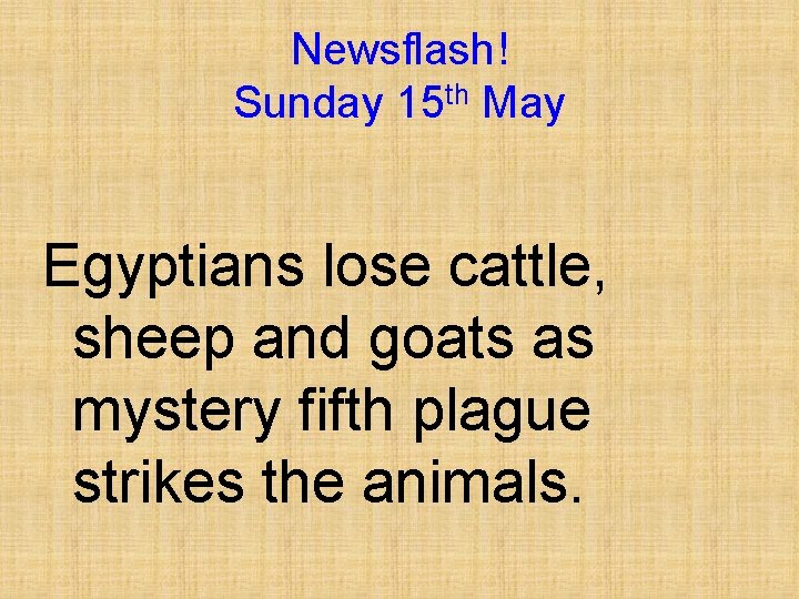 Newsflash! Sunday 15 th May Egyptians lose cattle, sheep and goats as mystery fifth