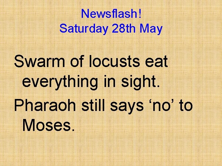 Newsflash! Saturday 28 th May Swarm of locusts eat everything in sight. Pharaoh still