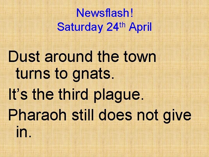 Newsflash! Saturday 24 th April Dust around the town turns to gnats. It’s the