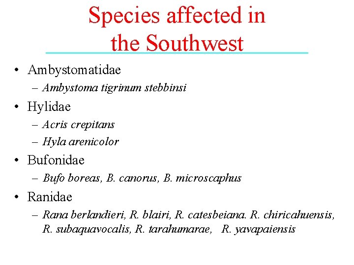 Species affected in the Southwest • Ambystomatidae – Ambystoma tigrinum stebbinsi • Hylidae –