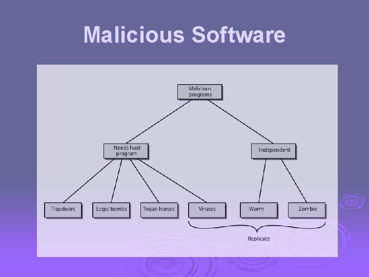 Malicious Software 