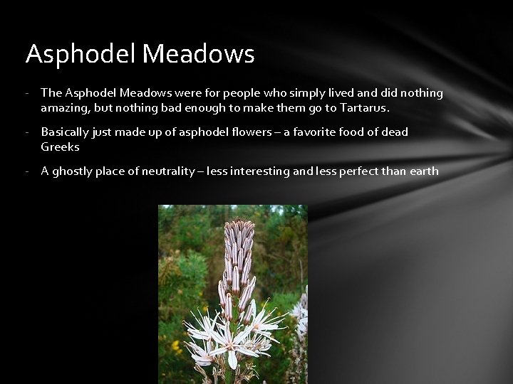 Asphodel Meadows - The Asphodel Meadows were for people who simply lived and did