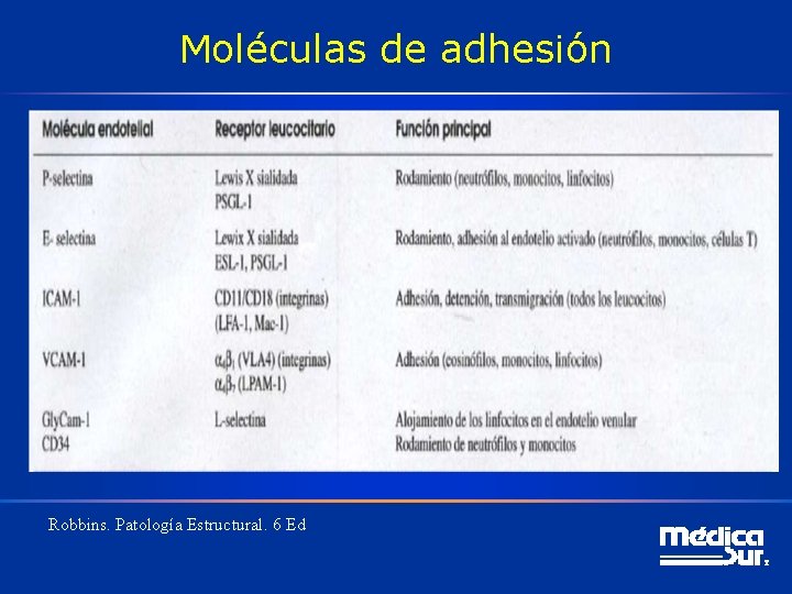 Moléculas de adhesión Robbins. Patología Estructural. 6 Ed 