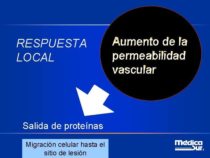 RESPUESTA LOCAL Salida de proteínas Migración celular hasta el sitio de lesión Aumento de