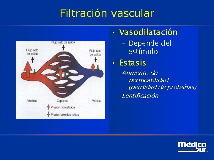 Filtración vascular • Vasodilatación – Depende del estímulo • Estasis Aumento de permeablidad (pérdidad