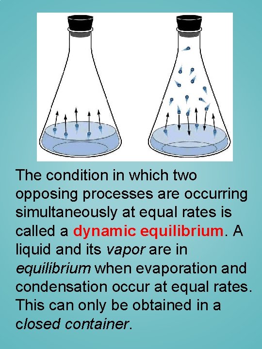 The condition in which two opposing processes are occurring simultaneously at equal rates is