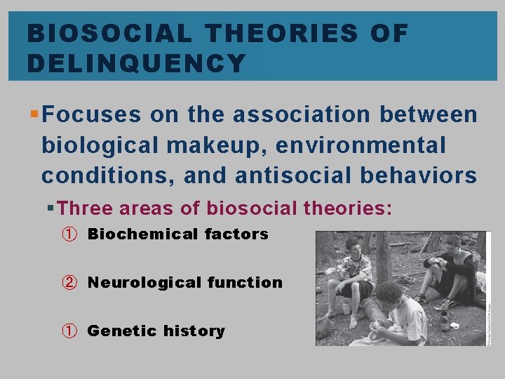 BIOSOCIAL THEORIES OF DELINQUENCY § Focuses on the association between biological makeup, environmental conditions,