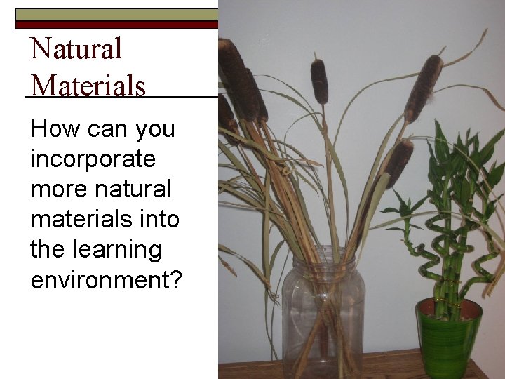 Natural Materials How can you incorporate more natural materials into the learning environment? 