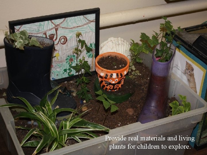 Provide real materials and living plants for children to explore. 