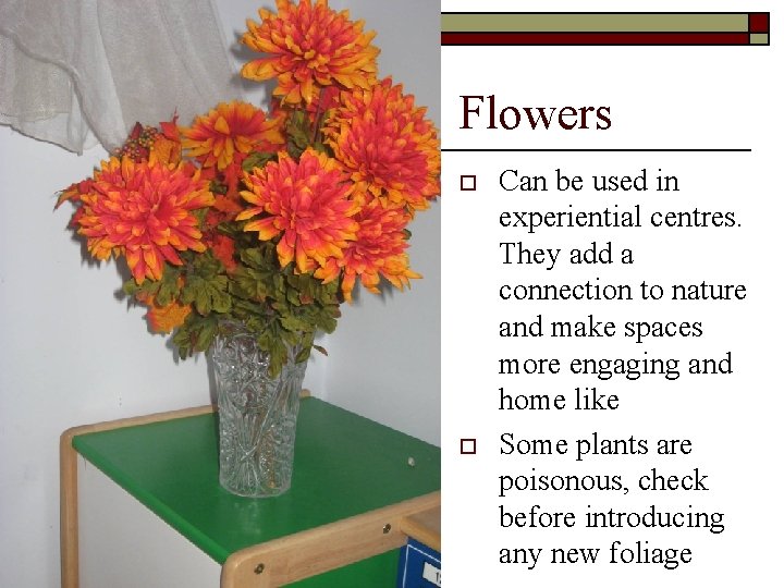 Flowers o o Can be used in experiential centres. They add a connection to