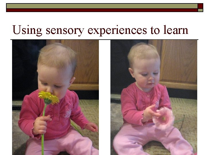 Using sensory experiences to learn 