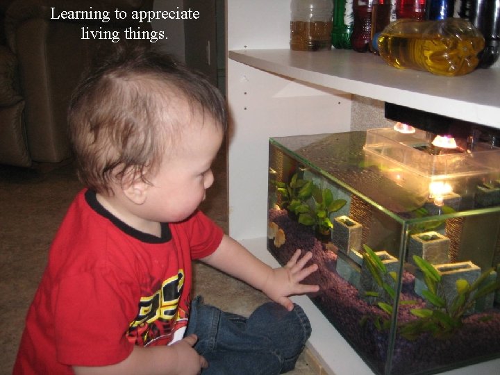 Learning to appreciate living things. 
