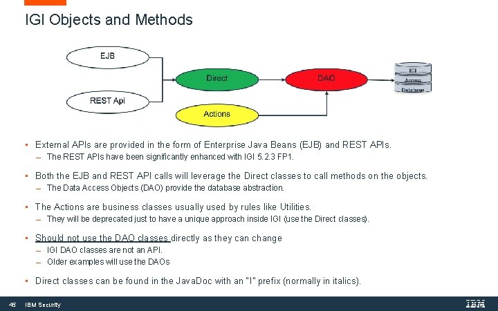 IGI Objects and Methods • External APIs are provided in the form of Enterprise IGI Objects and Methods • External APIs are provided in the form of Enterprise