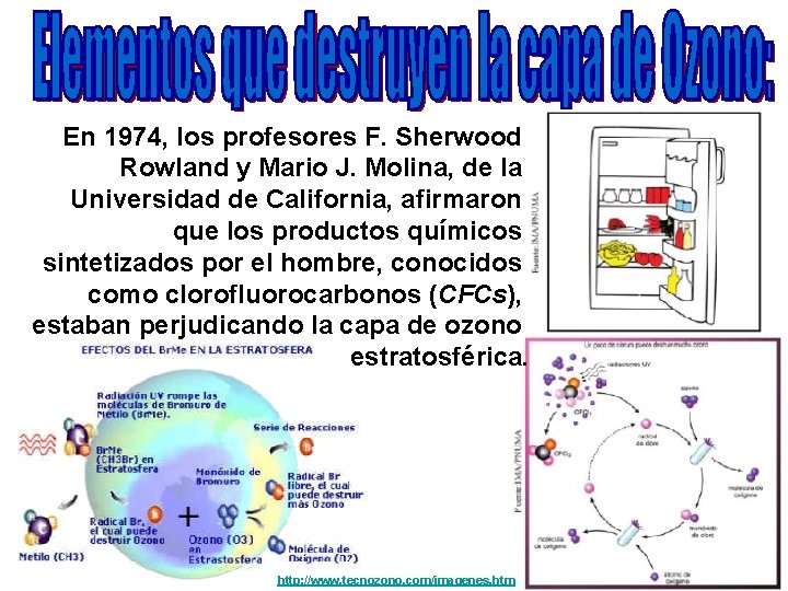 En 1974, los profesores F. Sherwood Rowland y Mario J. Molina, de la Universidad