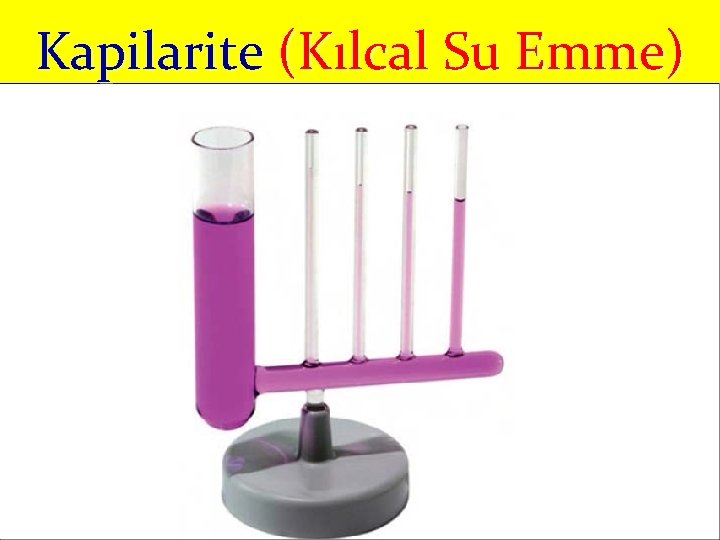 Kapilarite (Kılcal Su Emme) 