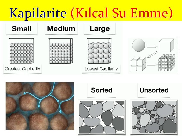 Kapilarite (Kılcal Su Emme) 