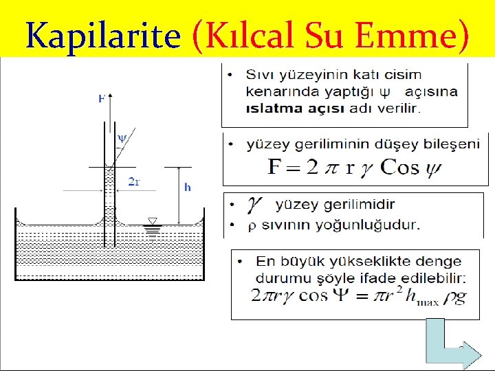 Kapilarite (Kılcal Su Emme) 