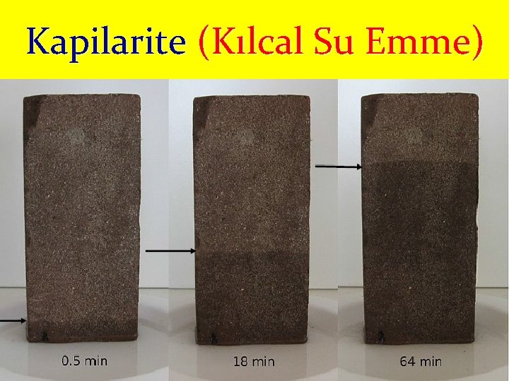 Kapilarite (Kılcal Su Emme) 