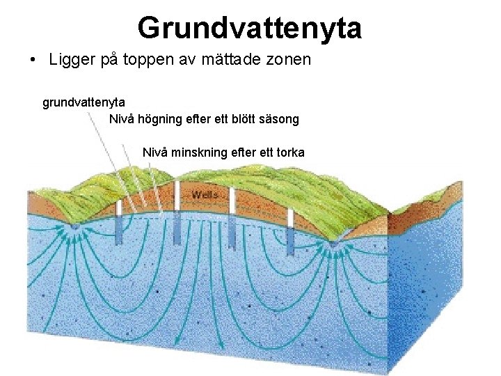 Grundvattenyta • Ligger på toppen av mättade zonen grundvattenyta Nivå högning efter ett blött