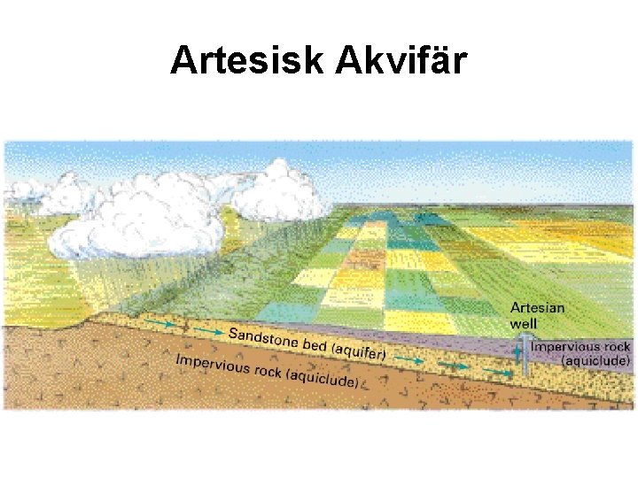 Artesisk Akvifär 
