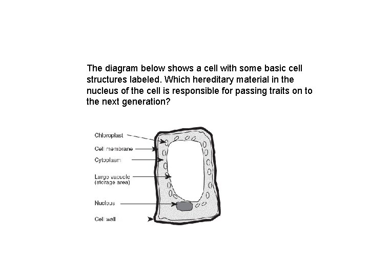 The diagram below shows a cell with some basic cell structures labeled. Which hereditary
