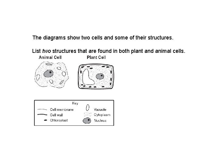 The diagrams show two cells and some of their structures. List two structures that