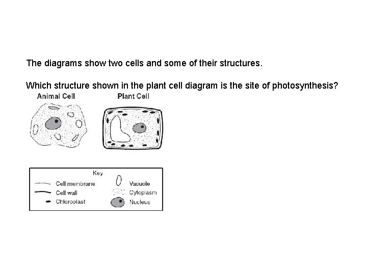 The diagrams show two cells and some of their structures. Which structure shown in