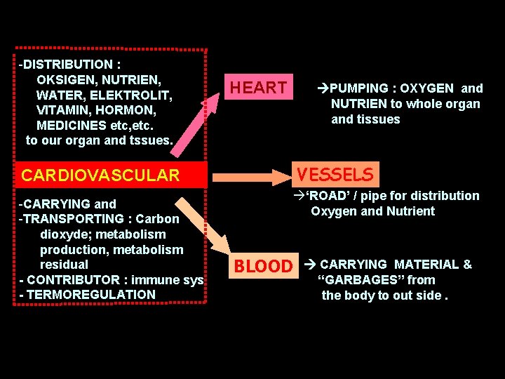 -DISTRIBUTION : OKSIGEN, NUTRIEN, WATER, ELEKTROLIT, VITAMIN, HORMON, MEDICINES etc, etc. to our organ