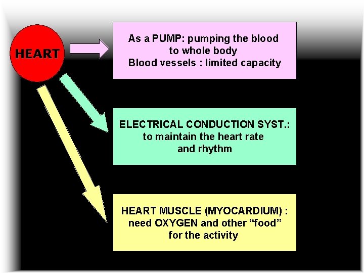 HEART As a PUMP: pumping the blood to whole body Blood vessels : limited