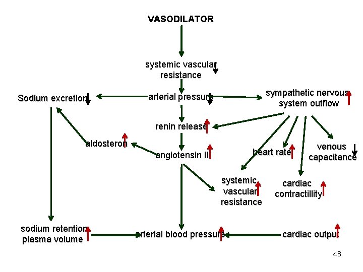 VASODILATOR systemic vascular resistance Sodium excretion sympathetic nervous system outflow arterial pressure renin release